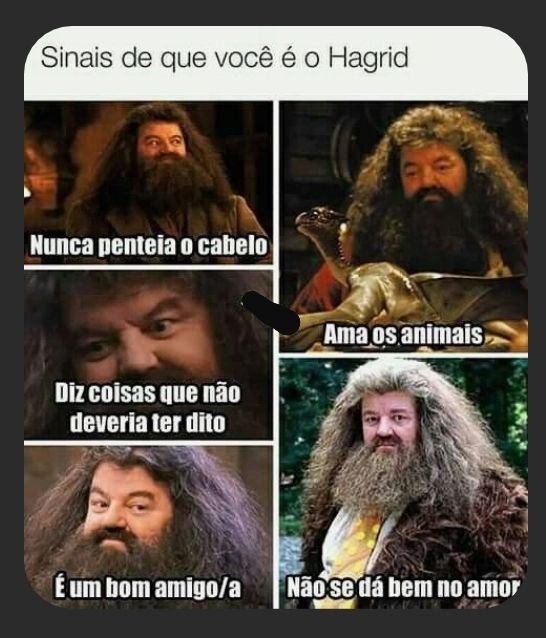 Sinas que você e o Hagrid